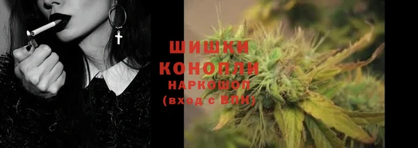 дмт Заводоуковск
