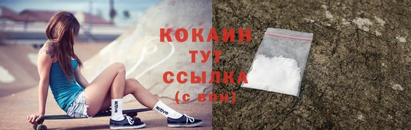дмт Заводоуковск